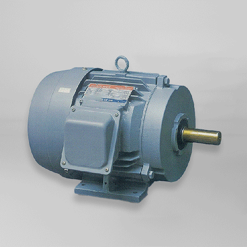 Tatung-Electric-AC-Motor