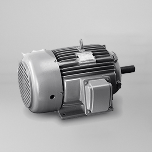 Teco-Electric-AC-Motor